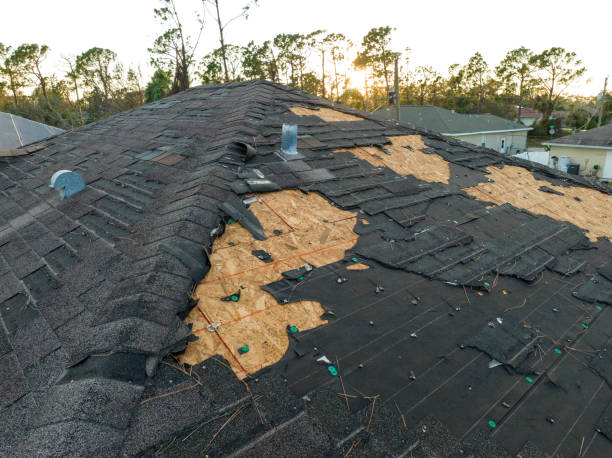 Best Roof Moss and Algae Removal  in Hurricane, UT